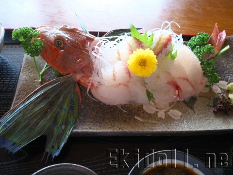ホウボウの姿造り(燦:片瀬白田)